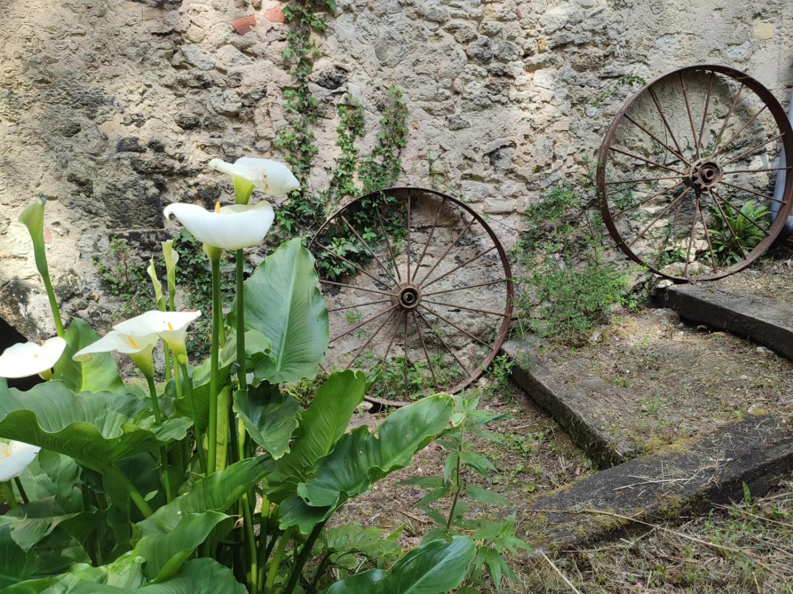 Chambre D'Hotes Le Moulin De Moulis 外观 照片